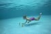 Bestway - Hydro-Swim - Speedy Squid Dykke Blæksprutter (45-1141294) thumbnail-2
