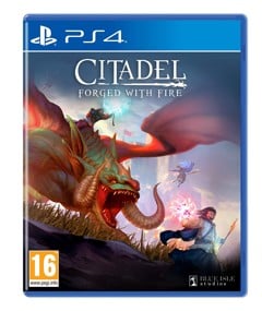 Citadel: Forged with Fire