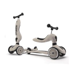 Scoot and Ride - 2 in 1 Balance Bike/ Scooter - Ash (HWK1CW05)