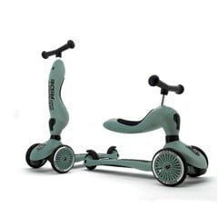 Scoot and Ride - 2 in 1 Balance Bike/ Scooter - Forest (SR-96269)