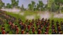 Total War: NAPOLEON – Definitive Edition thumbnail-8