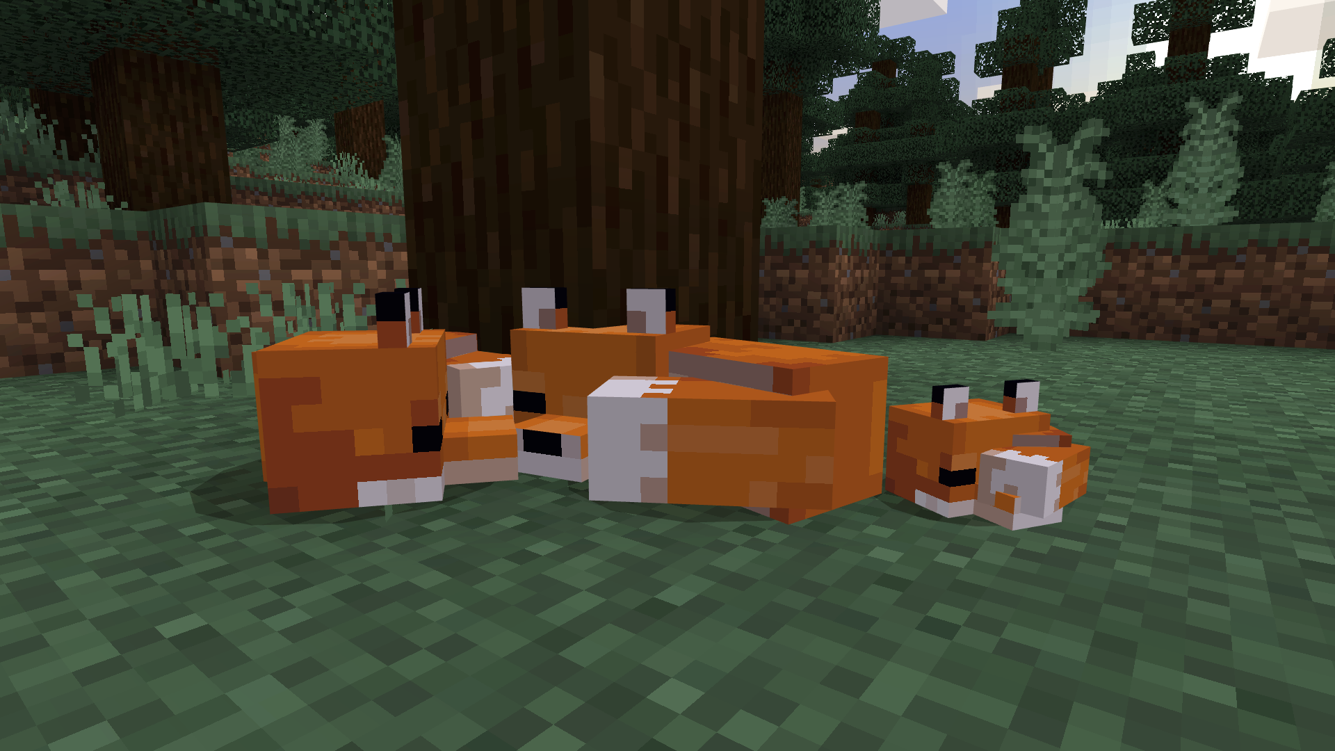 minecraft bedrock minecraft bedrock