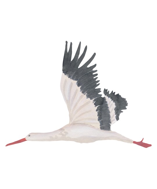 That's Mine - Wall Sticker Storke Large - Hvid
