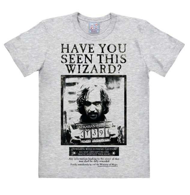 Harry Potter - Have You Seen This Wizard - Easyfit - grey melange - Original licensed product