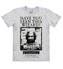 Harry Potter - Have You Seen This Wizard - Easyfit - grey melange - Original licensed product