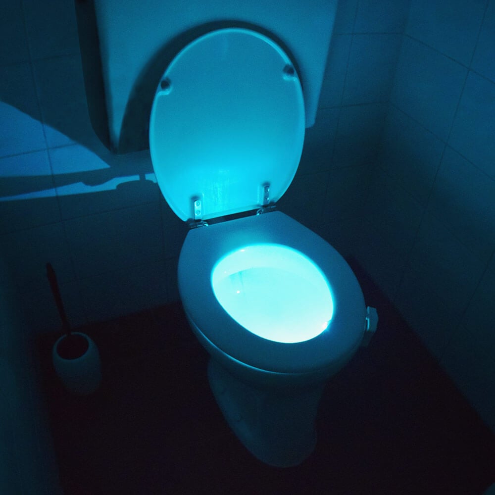 Toilet LED Light (04115)