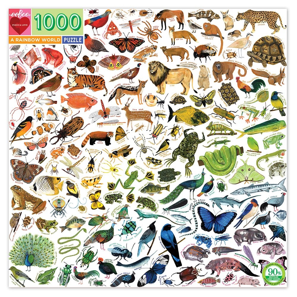 eeBoo - Puzzle - A Rainbow World, 1000 pc (EPZTRBW)