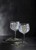 Luigi Bormioli - Mixology Spanish Gin & Tonic Glass 80 cl - 4 pack thumbnail-6