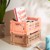 HAY - Colour Crate Small - Salmon (507537) thumbnail-3