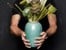 Bitz - Vase Medium - Green (872911) thumbnail-3