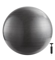Inshape - Fitness Ball With Pump 65 cm - Silver (17682)