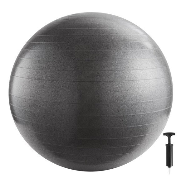 Inshape - Fitness Ball With Pump 65 cm - Silver (17682)