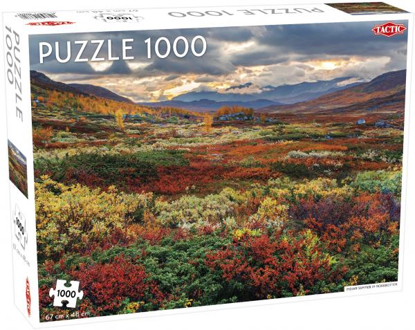 Tactic - Puzzle 1000 pc - Indian Summer in Norrbotten