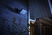 Philips Hue - Welcome Black Outdoor Warm White + Outdoor Sensor - Bundle thumbnail-4