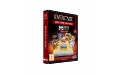 Blaze Evercade DataEast Cartridge 1