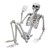 Halloween Skelet - Menneskestørrelse 170 cm thumbnail-2
