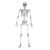 Halloween Skelet - Menneskestørrelse 170 cm thumbnail-4