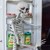 Halloween Skelet - Menneskestørrelse 170 cm thumbnail-6