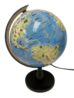 SCIENCE - Globe with animals and light 20 cm (TY6190)