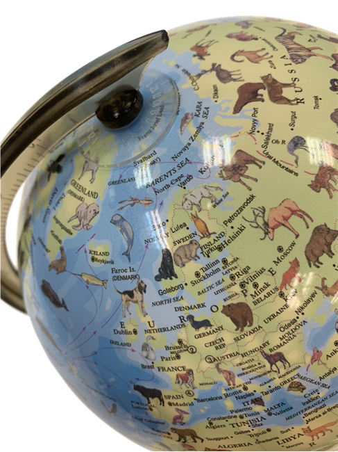 SCIENCE - Globe with animals and light 20 cm (TY6190)