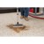 Bissell - MultiClean Wet & Dry Drum Vacuum 23L: Allsidig Rengjøring for Enhver Søl thumbnail-5