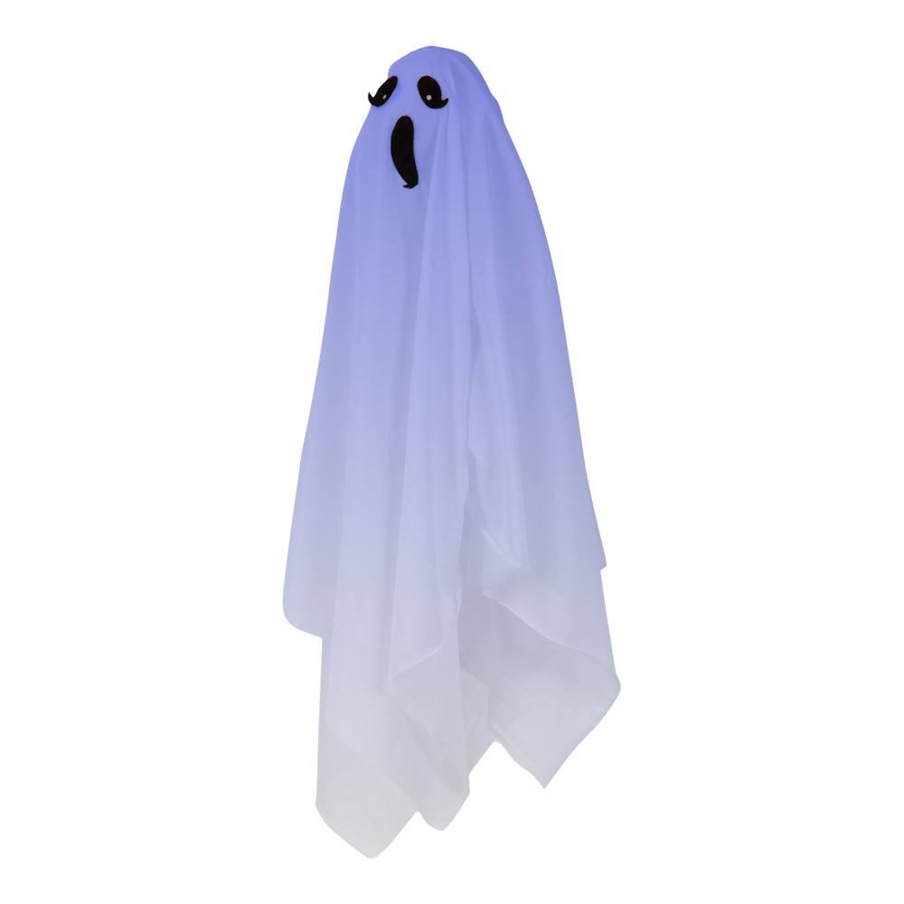 Spøgelse halloween Halloween spøgelse
