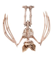 Halloween Skeleton Bat (96175)