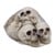 Halloween Bag of 6 Skulls (64257) thumbnail-2