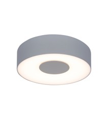 Lutec - Ublo Ceiling & Wall Light (Matte Silver)
