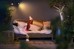 zz Philips Hue  - Lily Outdoor Spot Light Basekit & Outdoor Lightstrip 5m - Bundle thumbnail-14
