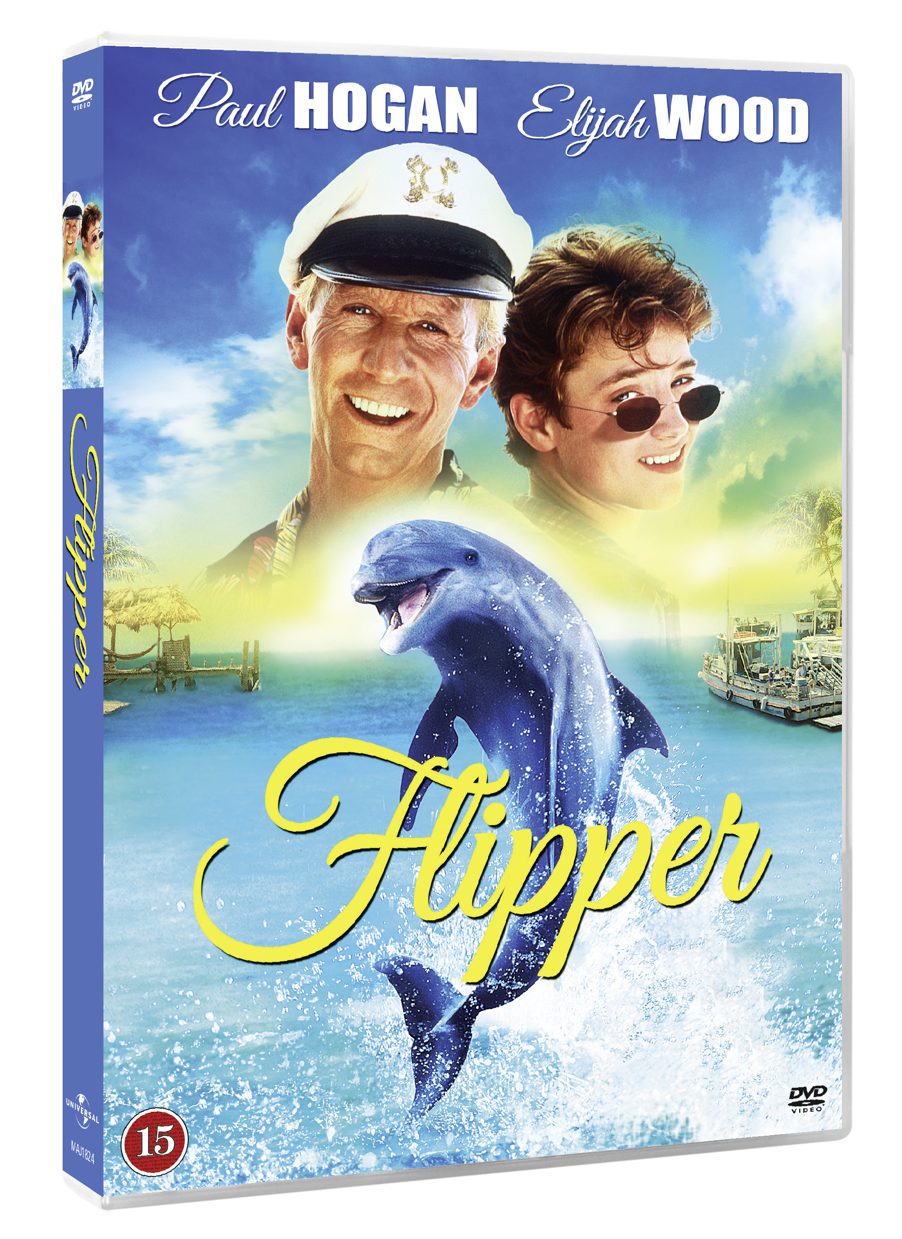 Flipper Boy Video