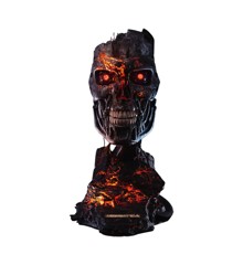 Terminator - T-800 Battle Damaged Limited Edition Replica Art Mask 1/1