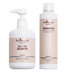 Pudderdåserne - All in One Shampoo 500 ml + Dryshampoo 250 ml