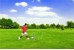 Spring Summer - Football Croquet (302239) thumbnail-2