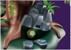 Playmobil - Adventures of Ayuma - Tree of Wisdom (70801) thumbnail-4