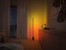 Philips Hue - Signe Floor Lamp - Gradient - White & Color Ambiance thumbnail-5