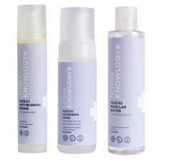 DERMAKNOWLOGY  - FACE51 Anti-Blemish Cream 50 ml + FACE61 Cleansing Foam 150 ml + FACE62 Micellar Water 200 ml