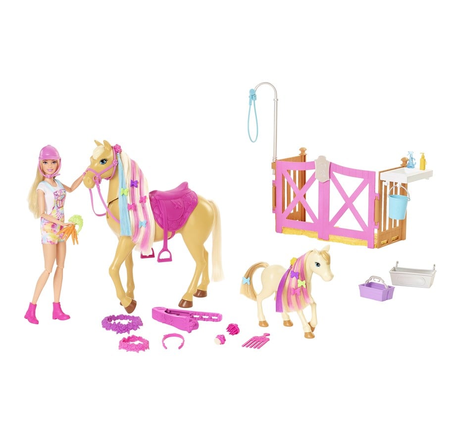 Barbie - Groom N' Care Playset (GXV77)