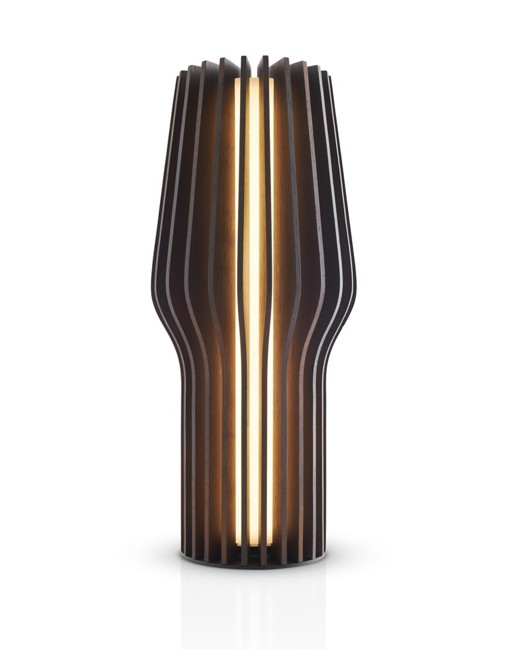 Eva Solo - Radiant genopladelig LED Lampe, Røget Eg