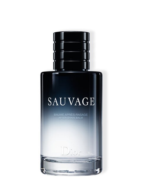 Koop Christian Dior - Sauvage Homme AS Balm 100 ml