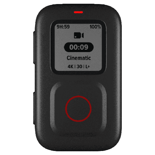 GoPro - The Remote (NOR)