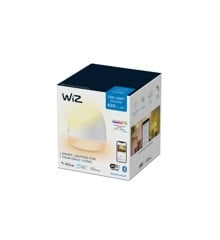 WIZ - Wi-Fi BLE Portable Squire