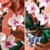 LEGO Icons - Orchid (10311) thumbnail-7