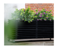 Living Outdoor - Plantekasse / Højbed 118x38x43 cm - Trallelook - Med monterbare hjul - Sort thumbnail-8