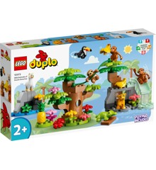 LEGO Duplo - Sydamerikas vilde dyr (10973)