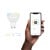 Hombli - GU10 Smart Bulb CCT - Promo Pakke thumbnail-5