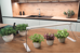 Ledvance - Indoor Linear Grow Light - Indoor Garden Light 30cm thumbnail-4