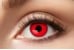 Joker - Lenses - Red Devil (1 Week) (90774) thumbnail-1