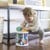 Baby Einstein - Zen & Cal’s Playground™ sensorisk sorterings-legetøj thumbnail-3