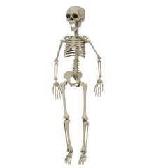 Joker - Halloween - Skeleton 76 cm (90091)